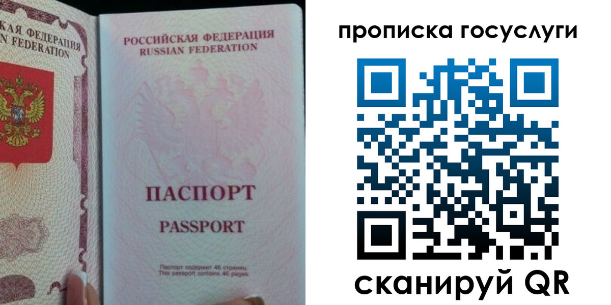 прописка 2025 в Курской области